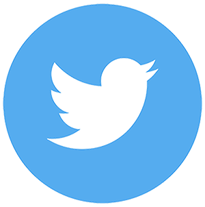 twitter copy